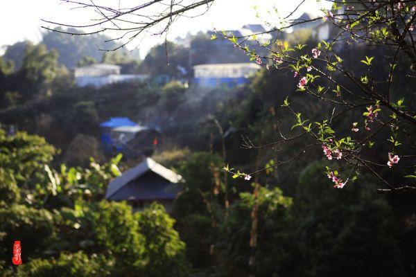 “重庆姐弟坠亡案”被告人张波、叶诚尘被执行死刑